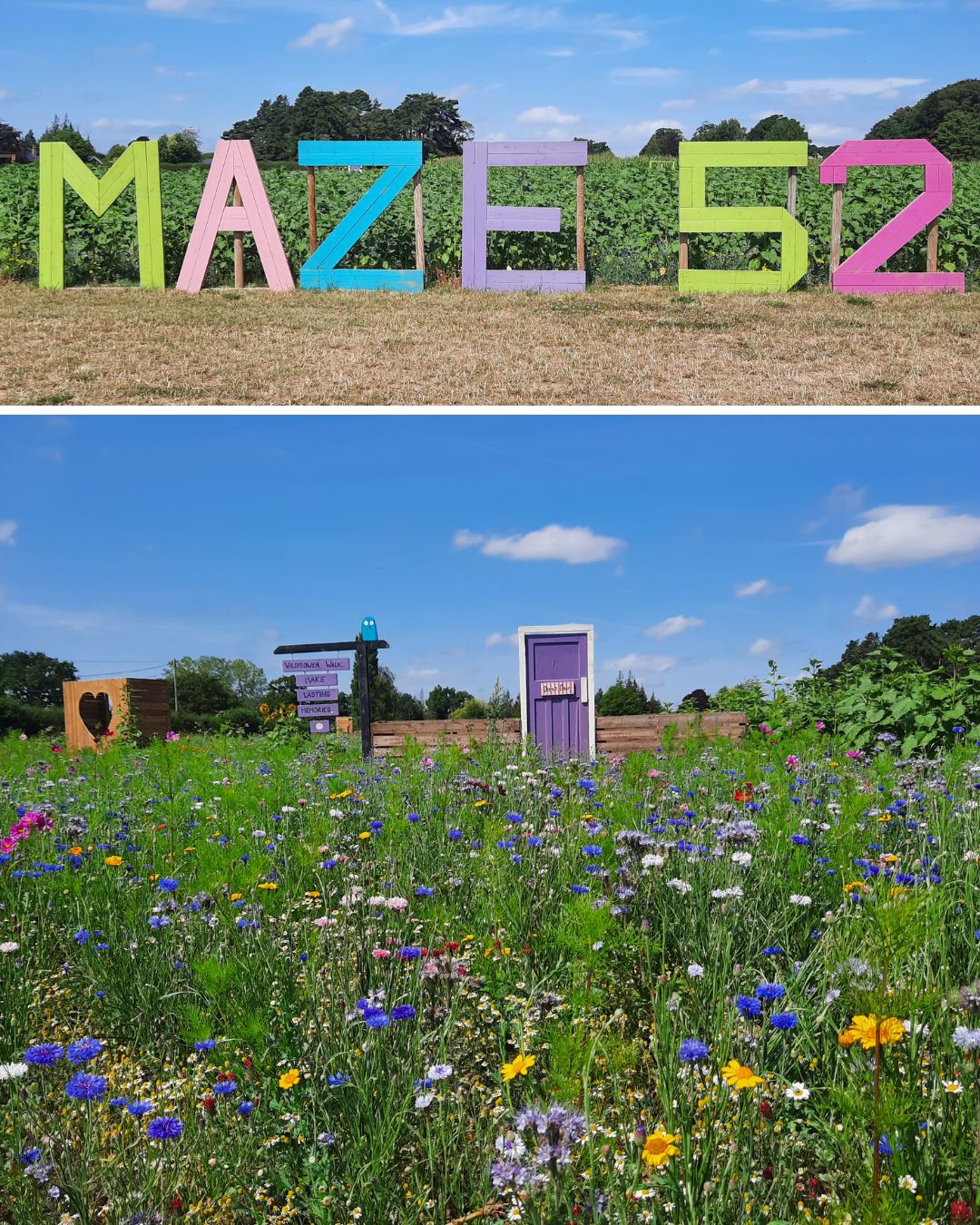 Maze 52 2026 - Derby Days Out