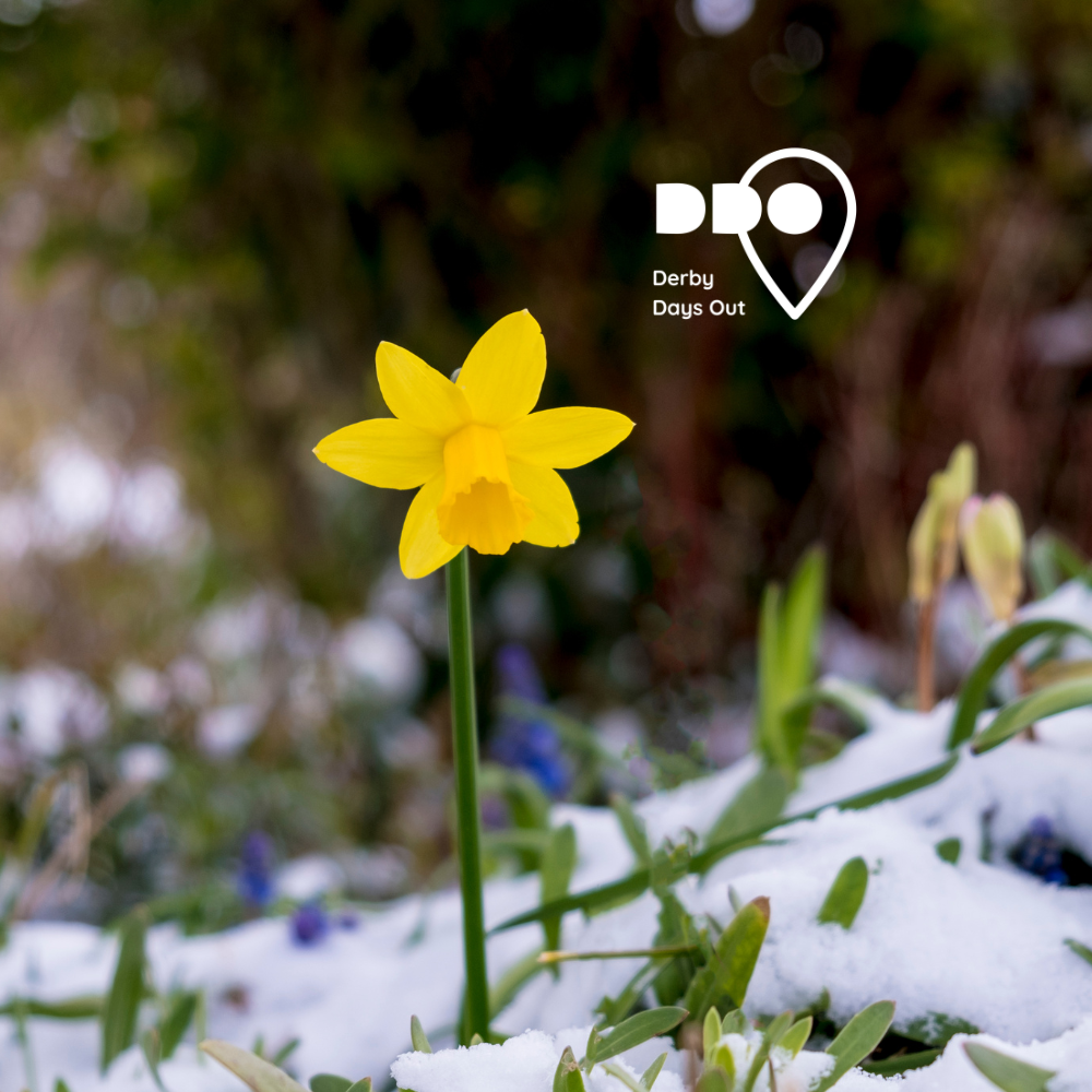 Top 5 Family-Friendly Activities in Derby This February Half-Term - Derby Days Out