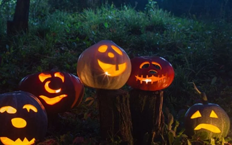 Torchlight Pumpkin Picking - Derby Days Out