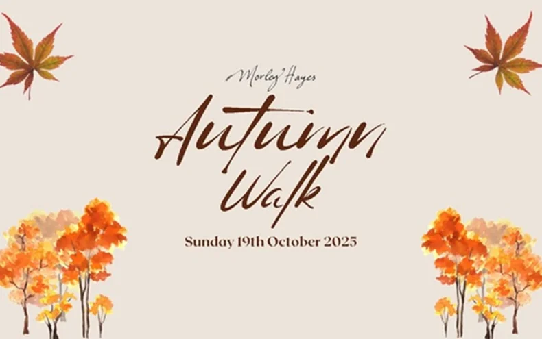 Autumn Walk - Derby Days Out
