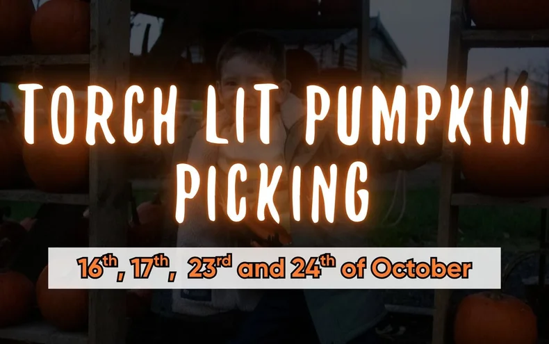 Torch Lit Pumpkin Picking - Derby Days Out