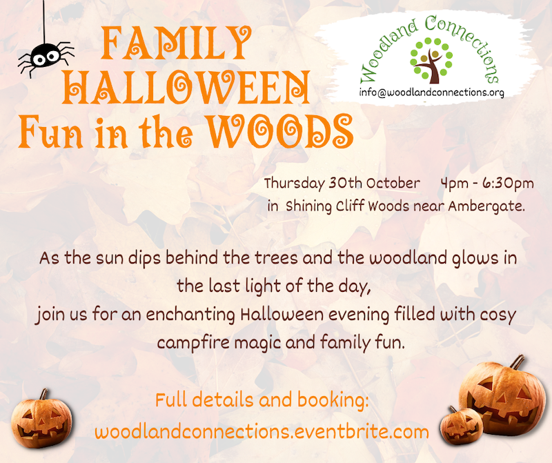 Halloween Family Fun in the Woods - Derby Days Out