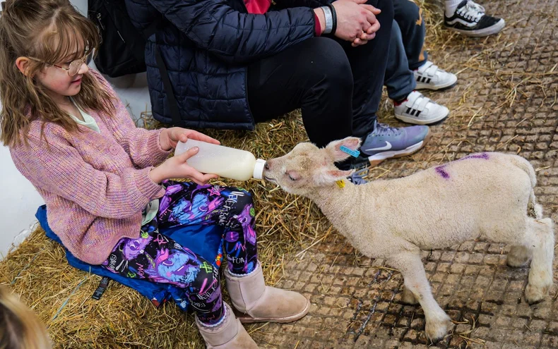 Choccy Woccy Easter at Bluebells - Derby Days Out