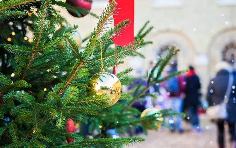 Festive Fun at Bolsover Castle - Derby Days Out