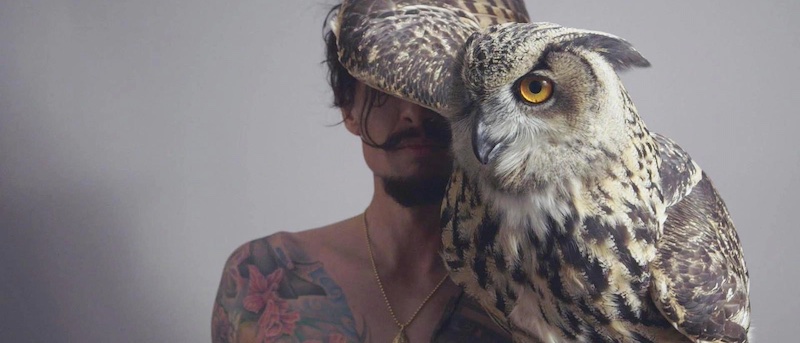 Justin Hawkins Rides Again… Again - Derby Days Out